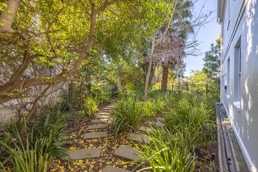 To Let 2 Bedroom Property for Rent in Rondebosch Western Cape